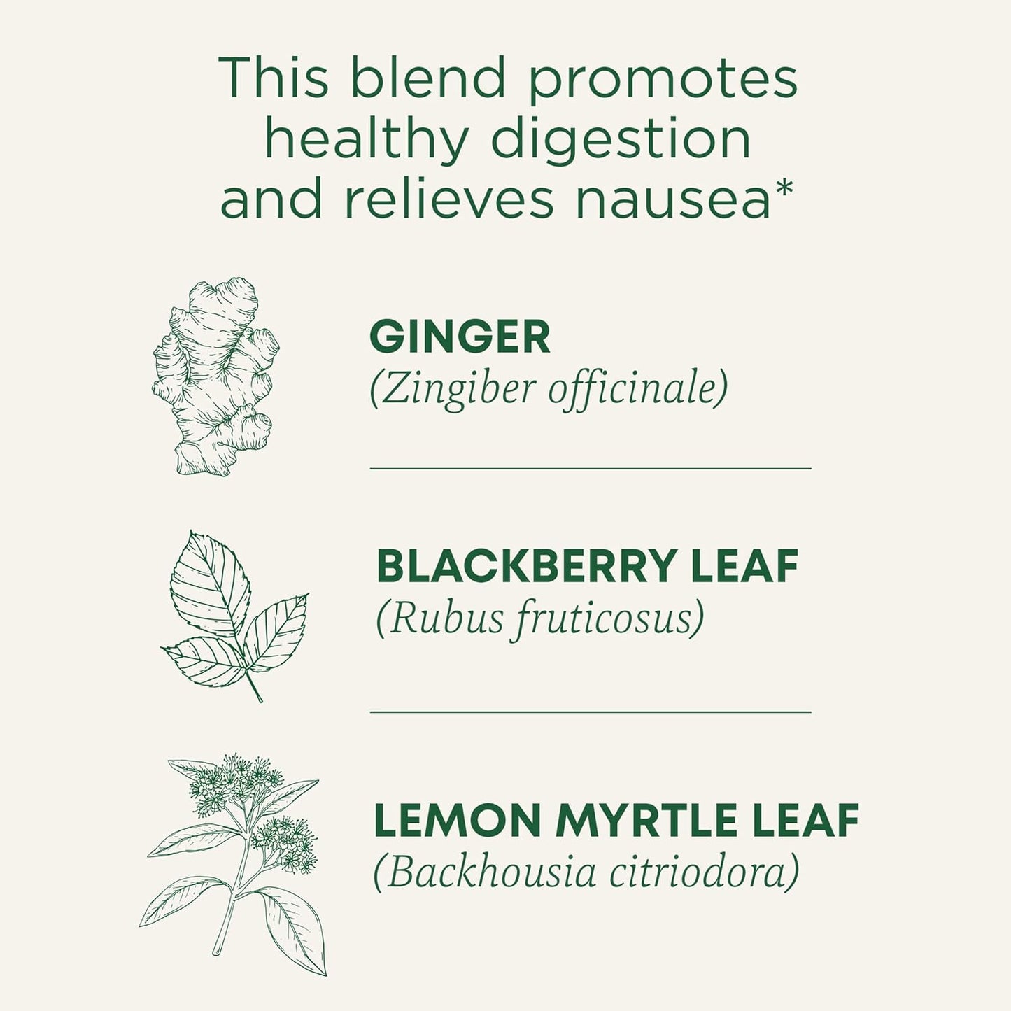 Traditional Medicinals Tea, Organic Peppermint, Soothes Your Belly, Refreshing & Minty, 96 Tea Bags (6 Pack)