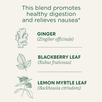 Traditional Medicinals Tea, Organic Peppermint, Soothes Your Belly, Refreshing & Minty, 96 Tea Bags (6 Pack)