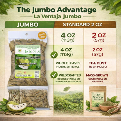 Guanábana Hojas (Soursop Leaves Tea) – Jumbo 4 oz – 100% Natural, Vegan, Non-GMO, Wildcrafted & Authentic – Caffeine-Free Herbal Tea – Makes 30+ Cups