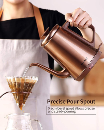 DmofwHi Gooseneck Electric Kettle(1.0L), 100% Stainless Steel BPA Free Classic Pour Over Coffee Kettle | Tea Kettle - Green