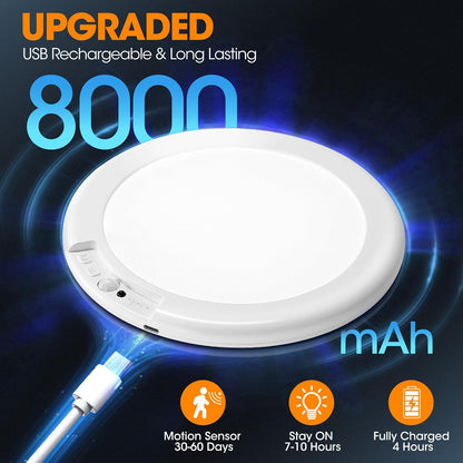 Gotopceed Rechargeable Motion Sensor Ceiling Light, Wireless Closet Light
