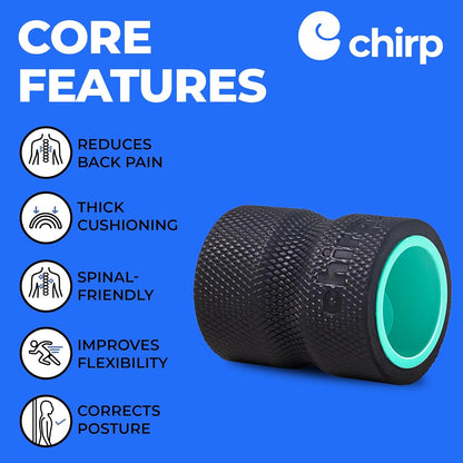 Chirp Wheel Foam Roller - Targeted Back & Neck Pain Relief, Muscle Massage, Trigger Point Therapy, High-Density Foam Tool for Physical Therapy, Stretching & Exercise, 500lbs Capacity, 12-Inch Mint
