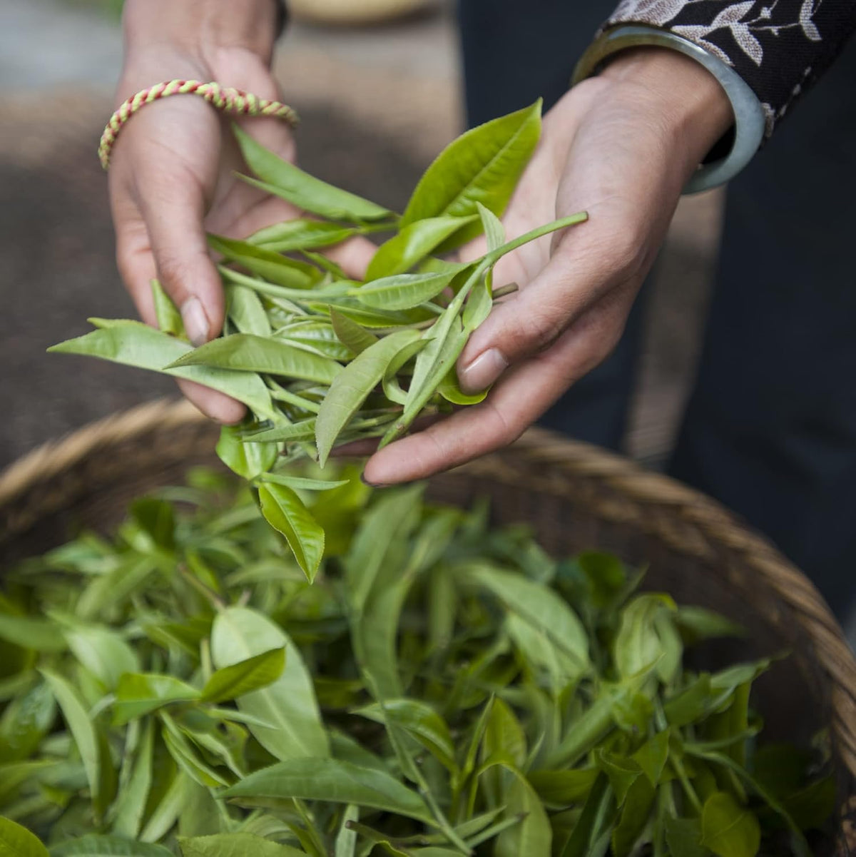 Palais des Thés - Grand Jasmine Chun Feng Green Tea - 3.5 oz Loose Leaf Tin