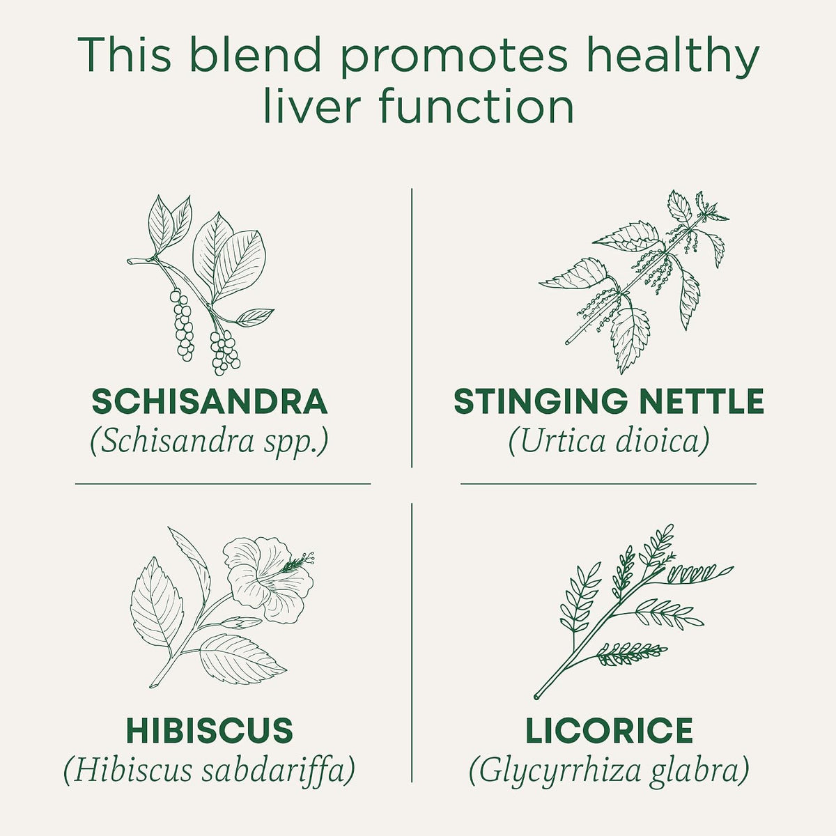 Traditional Medicinals Organic EveryDay Detox Schisandra Berry, 16 Tea Bags