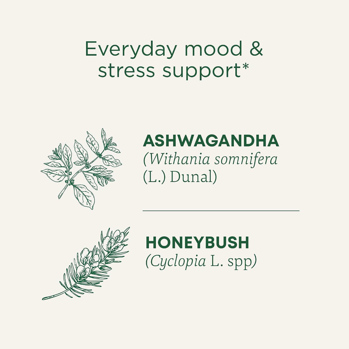 Traditional Medicinals Organic Stress Ease Calm, 16 Tea Bags