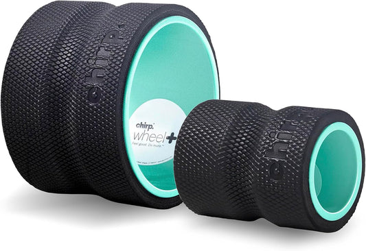 Chirp Wheel Foam Roller - Targeted Back & Neck Pain Relief, Muscle Massage, Trigger Point Therapy, High-Density Foam Tool for Physical Therapy, Stretching & Exercise, 500lbs Capacity, 12-Inch Mint
