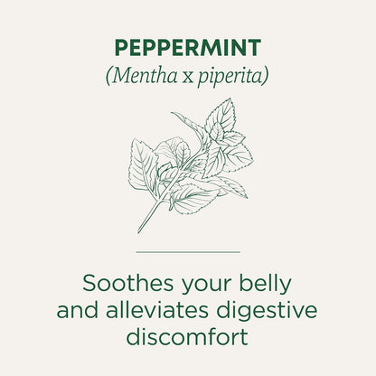 Traditional Medicinals Organic Peppermint, 16 Tea Bags