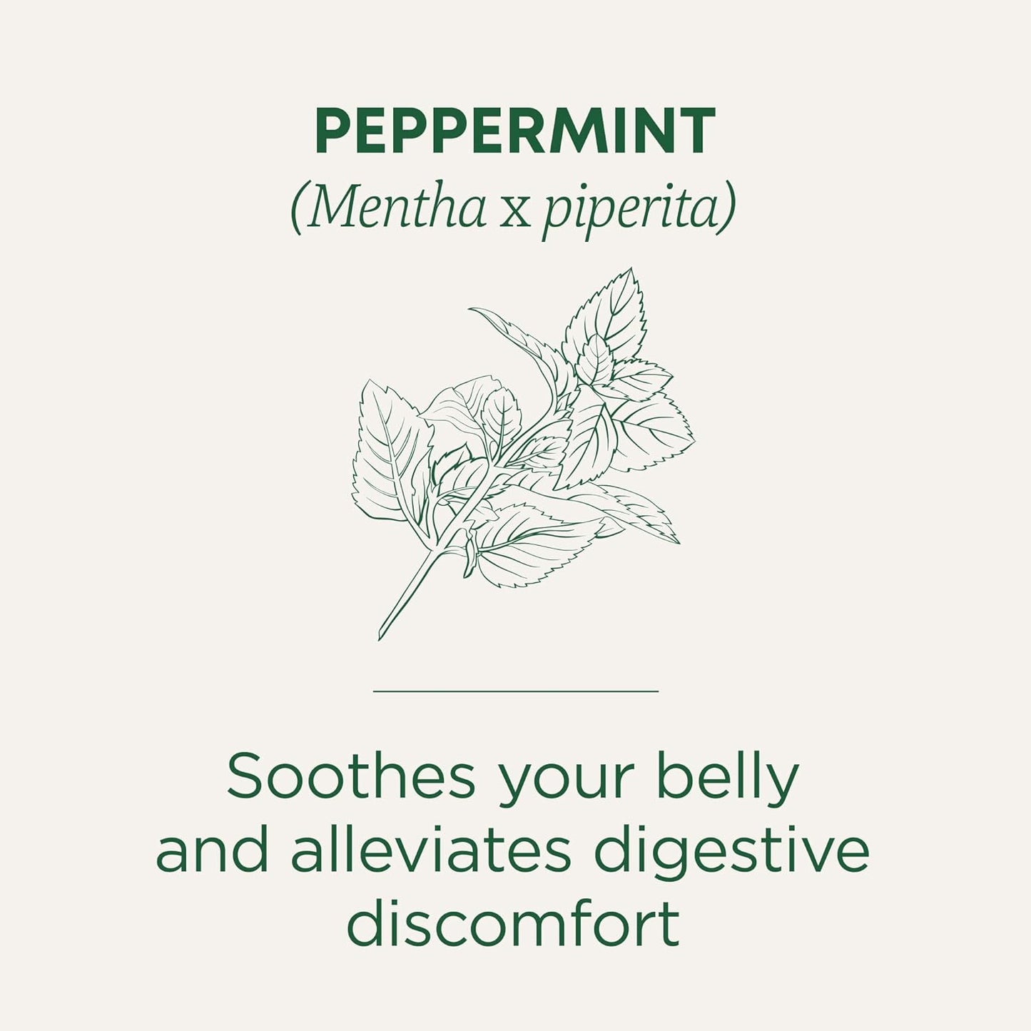 Traditional Medicinals Organic, Peppermint Tea - Helps Soothe Belly from Occasional Gas and Bloating - Kosher, Non-GMO, Caffeine-Free, Compostable - 16 Tea Bags