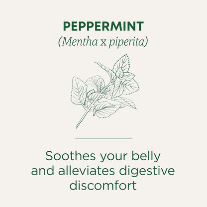 Traditional Medicinals Tea, Organic Peppermint, Soothes Your Belly, Refreshing & Minty, 96 Tea Bags (6 Pack)