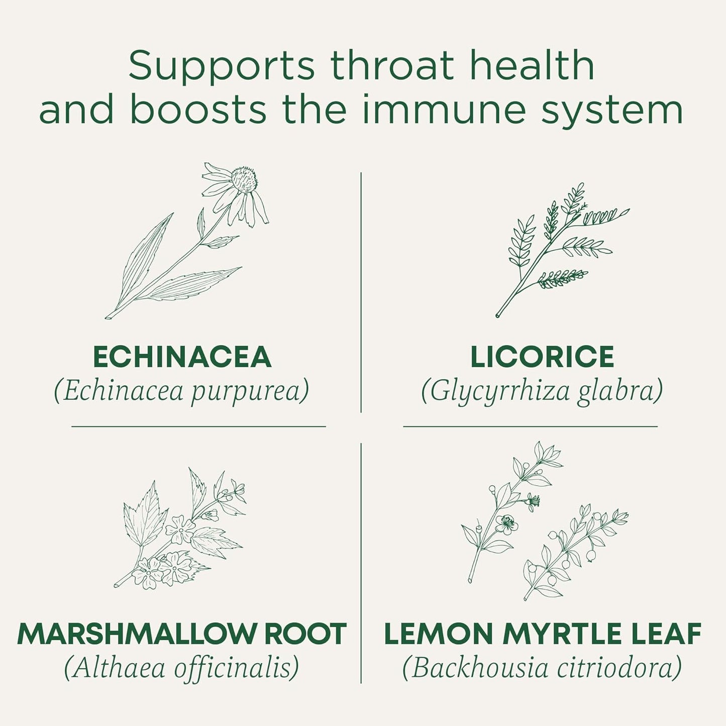 Traditional Medicinals Tea, Organic Chamomile & Lavender, Stress Relief, 48 Tea Bags