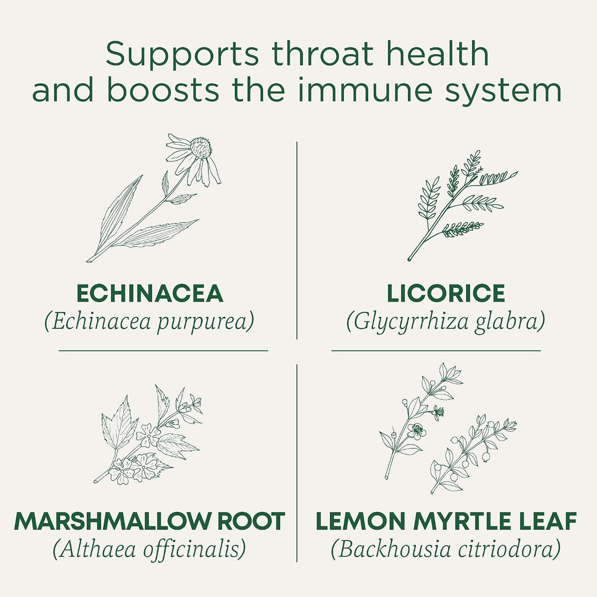 Traditional Medicinals, Organic Throat Coat Lemon Echinacea - Supports Throat Health - Kosher, Non-GMO, Caffeine-Free, Compostable, 16 ct