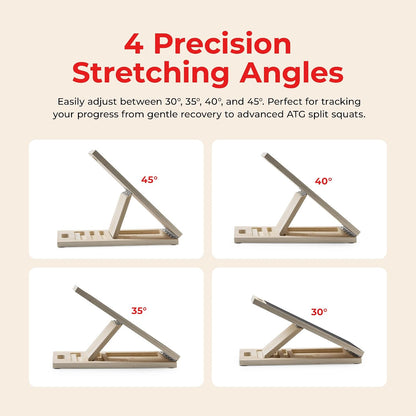 Sunny Health & Fitness Calf Stretcher and Foot Rocker for Plantar Tight Calves Relief Hamstring Ankle Strengthener Facetious Sling Stretch Fighter Stretching Device Mobility
