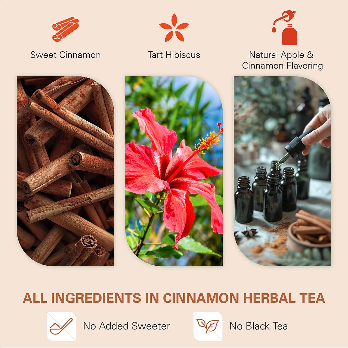 WT WEETEE Apple Cinnamon Herbal Tea Bags 60 Count, Warm & Cozy Fall Flavor