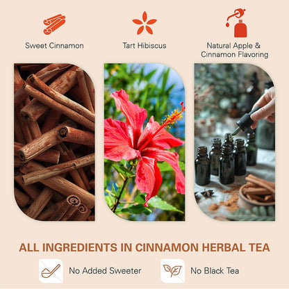 WT WEETEE Apple Cinnamon Herbal Tea Bags 60 Count, Warm & Cozy Fall Flavor