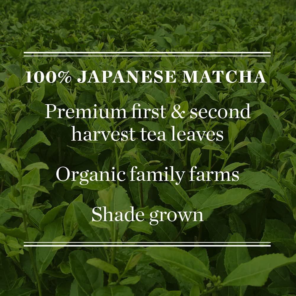 Mighty Leaf Tea Organic Matcha Green Tea, 12 Tea Bags