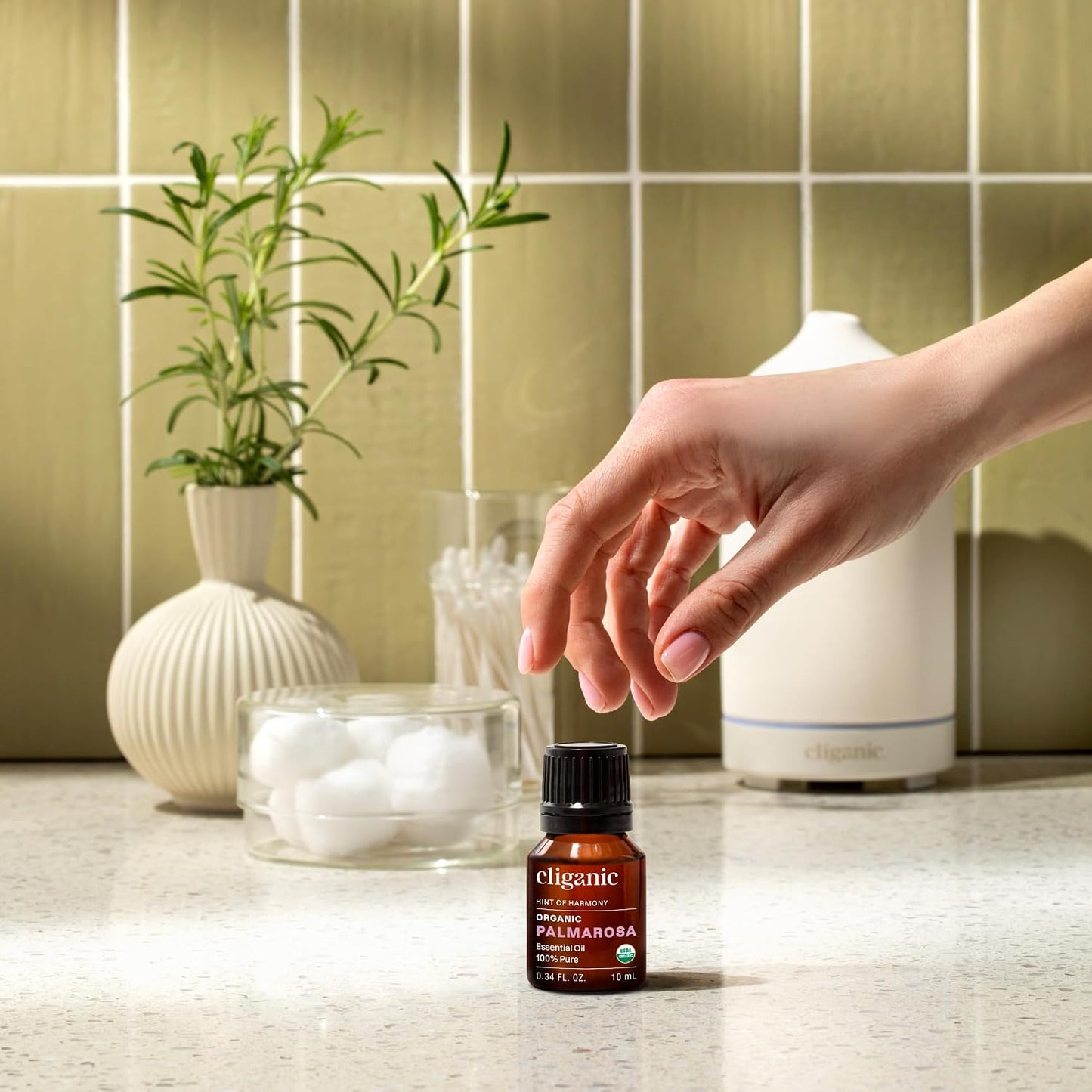 Cliganic Organic Lavender Essential Oil - 100% Pure Natural Undiluted, for Aromatherapy Diffuser | Non-GMO Verified - Colors A