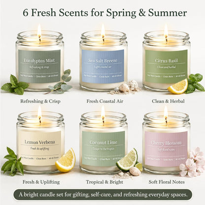 Scented Candles Gift Set, Long Lasting 6 Pack Aromatherapy Candles for Home, 42 oz 300 Hour Burn, Lavender Jasmine Vanilla Sage Sandalwood Rose Eucalyptus Mint, Gifts for Women
