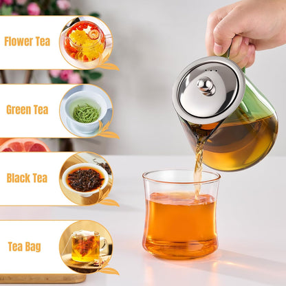 PARACITY Glass Teapot Stovetop 18.6 OZ, Borosilicate Clear Tea Kettle with Removable 18/8 Stainless Steel Infuser, Teapot Blooming and Loose Leaf Tea Maker Tea Brewer for Camping, Travel (550ML)