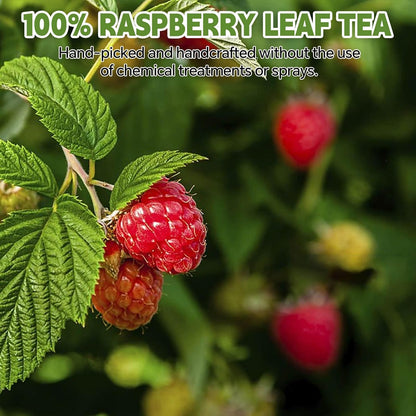 Raspberry Leaf Teabags–120 Tea Bags (2g/Bag), Made from 100% Raspberry Leaves Caffeine-Free | Sugar-Free | Gluten-Free | Vegan | Eco-Friendly Tea Bags