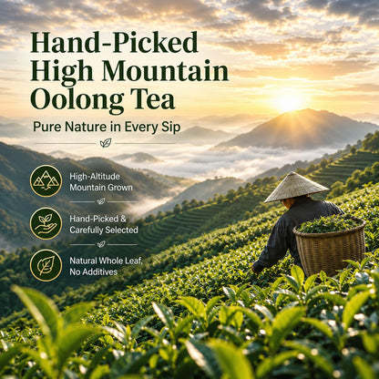 Niceen Oolong Tea Bags, 4g*30 Tea Bags, Selected Whole Leaf Oolong Tea, Smooth Aroma, Low Astringency, Daily Tea Ritual, Hot and Cold Brew, Vegan, Non-GMO (30 Pcs 1 Bags)