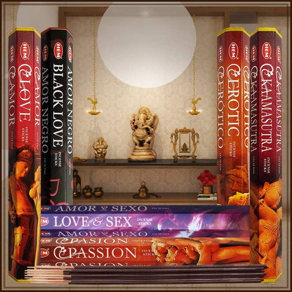 Hem Incense Sticks Variety Pack #23-120 Insence-Sticks (6 Incents x 20 Insense) + Incense Stick Holder with 6 Most Liked Scents Including Patchouli Dragons Blood White Sage Frankincense-Myrrh