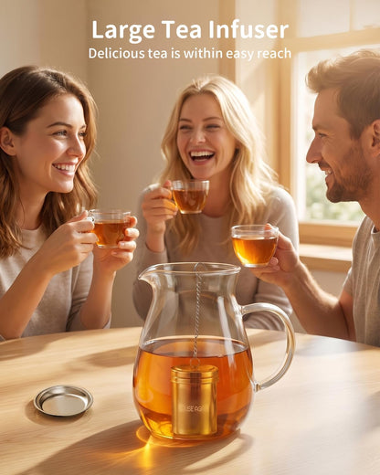 House Again 2 Pack Tea Infuser, Extra Fine Mesh Tea Infusers for Loose Tea, 18/8 Stainless Steel Tea Strainer with Extended Chain Hook, Tea Steeper for Brew Tea, Spices & Seasonings