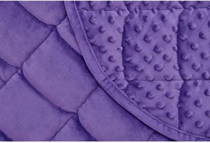 TONGDADA Weighted Lap Blanket 7lbs for Adult,Perfect for Relaxation, Lounging, Napping, Sleeping & Travel,Luxury Minky Weighted Body Blanket,Weighted Throw Blanket-Dark Grey Minky Dot, 29" x 24"
