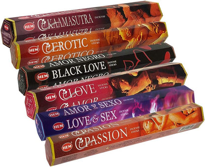 Hem Incense Sticks Variety Pack #23-120 Insence-Sticks (6 Incents x 20 Insense) + Incense Stick Holder with 6 Most Liked Scents Including Patchouli Dragons Blood White Sage Frankincense-Myrrh