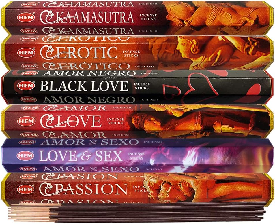 Hem Incense Sticks Variety Pack #23-120 Insence-Sticks (6 Incents x 20 Insense) + Incense Stick Holder with 6 Most Liked Scents Including Patchouli Dragons Blood White Sage Frankincense-Myrrh