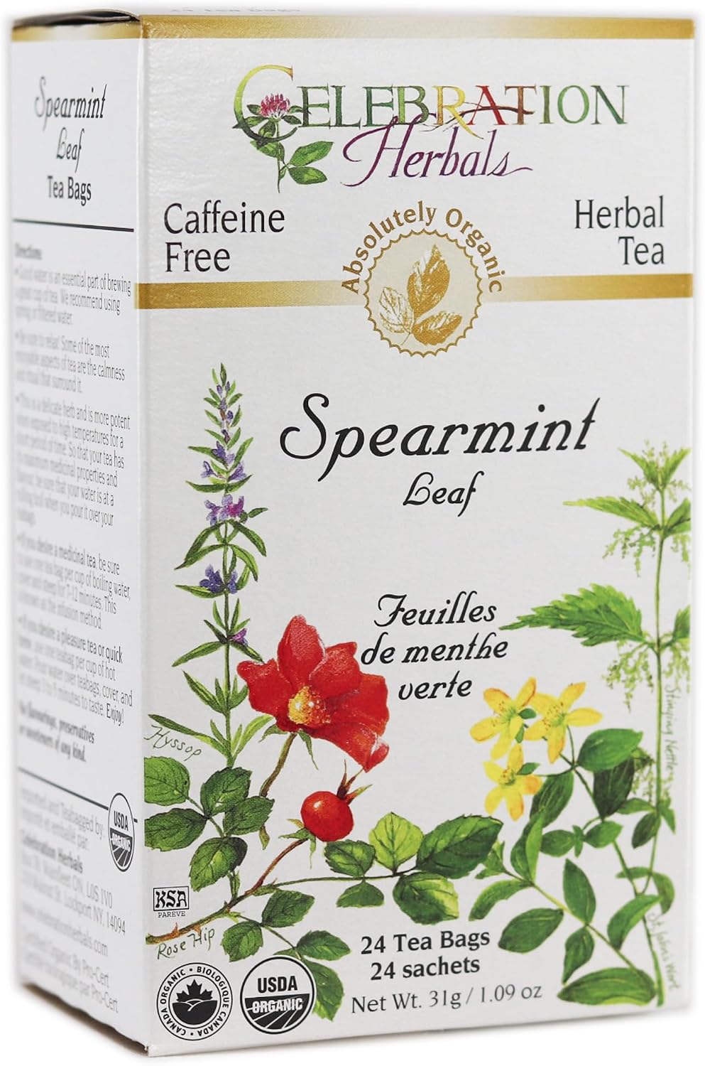 CELEBRATION HERBALS Spearmint Leaf Tea Organic 24 Bag, 0.02 Pound