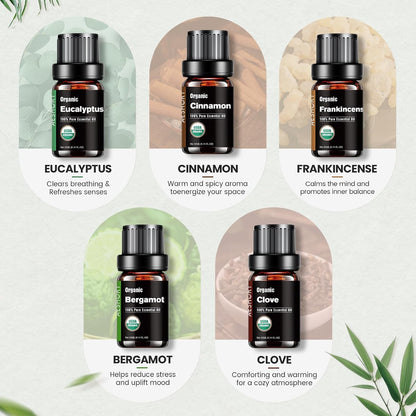 Organic Essential Oils Gift Set, Top 10x10ML-100% Pure Natural Aromatherapy for Diffusers, Humidifiers, Candle Making, Peppermint, Tea Tree, Lavender, Frankincense, Lemongrass, Eucalyptus & More