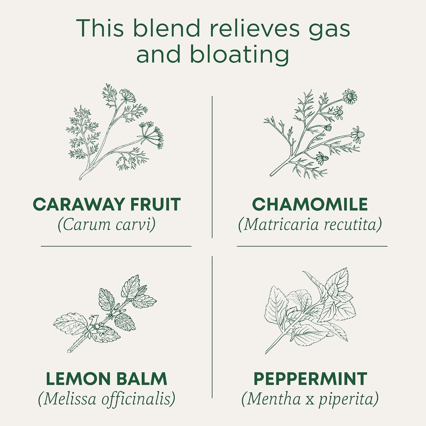 Traditional Medicinals Tea, Organic Peppermint, Soothes Your Belly, Refreshing & Minty, 96 Tea Bags (6 Pack)