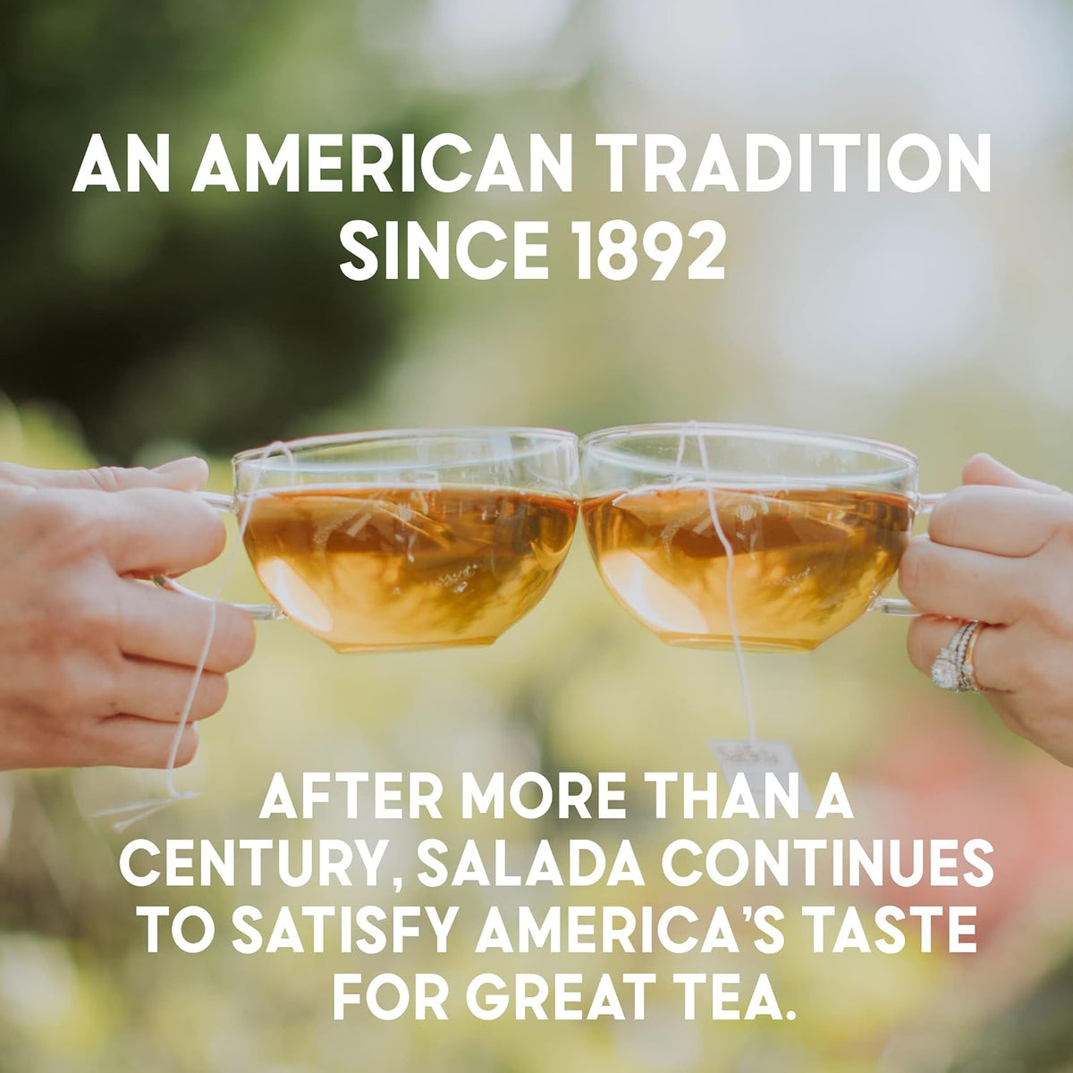 Salada White Tea Delicate White Tea with 40 Individually Wrapped Tea Bags Per Box (Pack of 6) Contains Caffeine Brew Hot Naturally Flavored