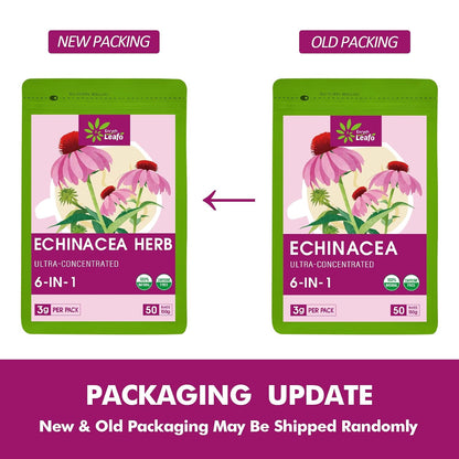 EnrychLeafo Echinacea Herb Tea with Goldenseal & Elderberry- 50bags