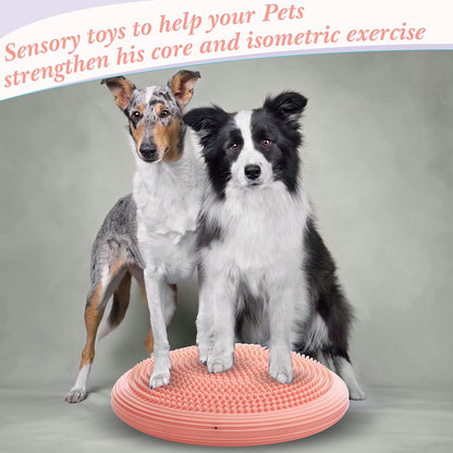 Libima 2 Pcs Wobble Cushion Wiggle Seat Flexible Sensory Seating Balance Disc Board for Men Women Physical Exercise Improving Posture Home Office
