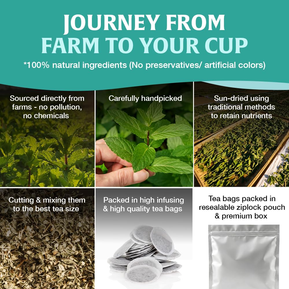 HANDPICK Lemon Balm Tea Bags – 100 Count | 100% Pure & Naturally Dried | Caffeine-Free Herbal Tea with Citrus Flavor & Aroma | Premium Lemon Balm Leaf
