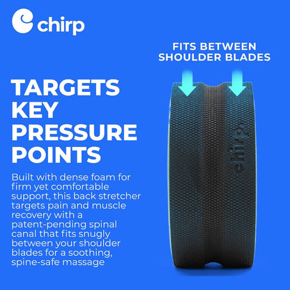 Chirp Wheel Foam Roller - Targeted Back & Neck Pain Relief, Muscle Massage, Trigger Point Therapy, High-Density Foam Tool for Physical Therapy, Stretching & Exercise, 500lbs Capacity, 12-Inch Mint