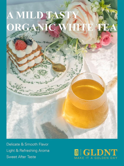 GLDNT Organic Milk Thistle Tea, Natural Organic Milk Thistle Seed Herbal Tea, Mild & Mellow Taste, Caffeine Free, 100 Count