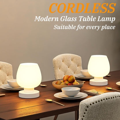 Seealle Touch Table Lamp for Nightstand - Small Bedside Lamp for Bedroom Living Room Night Stands, Desk Lamp with White Glass Shade for Small Spaces, 3 Way Dimmable, LED Bulbs, Gifts