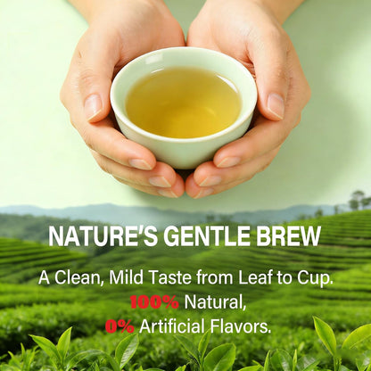 HerbOLITHIC 8-in-1 Nettle Leaf Tea Bags for Joint Health. 30 Bags 3g/bag.