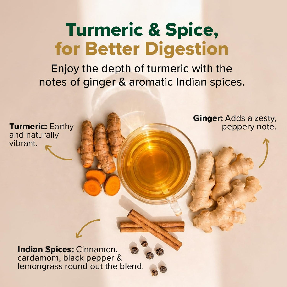 VAHDAM Turmeric Ginger Cinnamon Tea Bags with Black Pepper (100 Count)