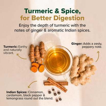 VAHDAM Turmeric Ginger Cinnamon Tea Bags with Black Pepper (100 Count)