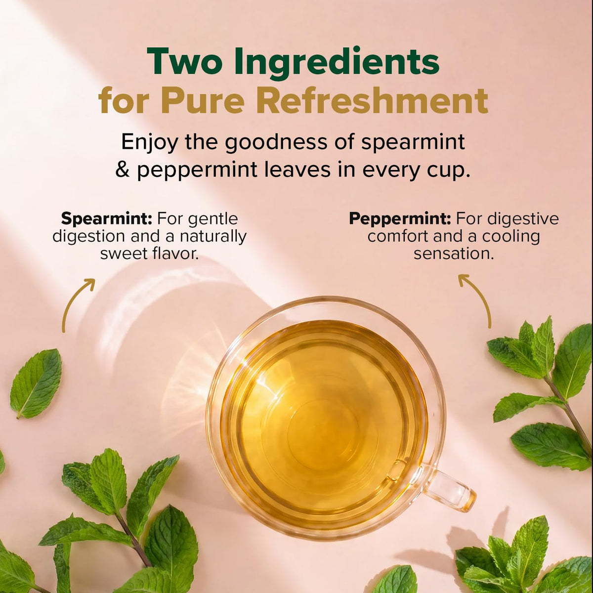 VAHDAM, Pure Mint Herbal Tea (100 Pyramid Tea Bags) Caffeine Free, Non GMO, Gluten Free | Blend of Spearmint & Peppermint - Sweet & Minty | Resealable Ziplock Pouch
