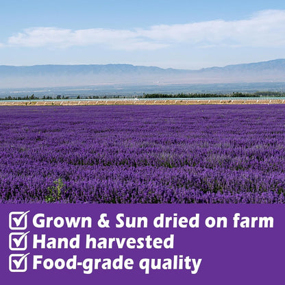 80+ Edible Dried Lavender Sprigs for Cocktail Garnish & Cake Decorating