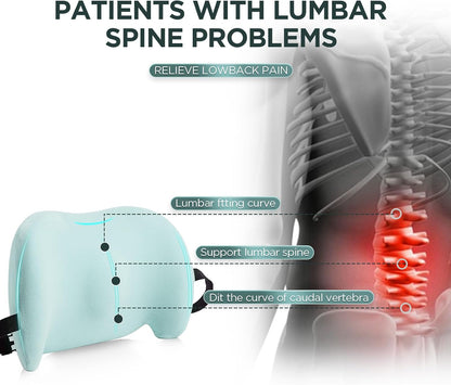 Lumbar Support Pillow for Office Chair, Car Lumbar Pillow Lower Back Pain Relief, Memory Foam Back Cushion with 4D Mesh Cover and Adjustable Straps, Ergonomic Chair Back Pillow for Car,Bed, Gaming