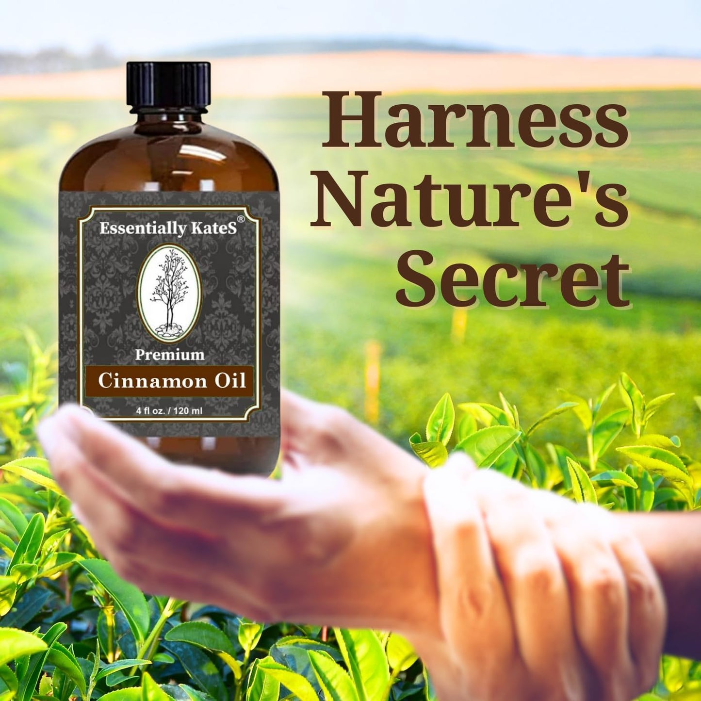 Essentially KateS Lavender Oil – 100% Pure & Natural, Steam-Distilled, with Glass Dropper, Roll-On Bottle & Sprayer for Aromatherapy, Skin & Home Use