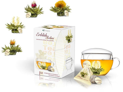 Creano Blooming Tea Gift Set with Glass Teapot 17oz (500ml) - Green Tea Fruity Flavoured Tea Flowers in 6 Varieties - Flowering Tea Gift for Easter