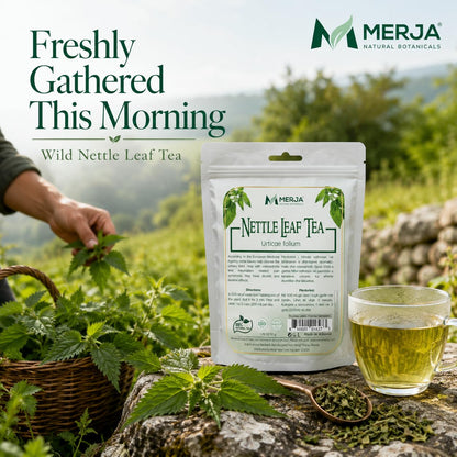 Merja Herbs Nettle Leaf Tea - Bone Wellness & Pain Relief - Natural Caffeine Free - Loose Tea - 100% Natural & Premium Quality 50gr 1.8 oz