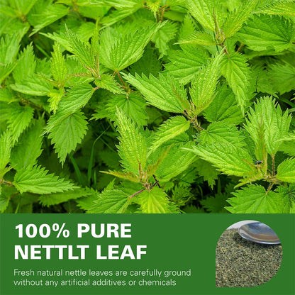 WT WEETEE Nettle Leaf Tea Bags 100 Count, Caffeine-free for Season Changes
