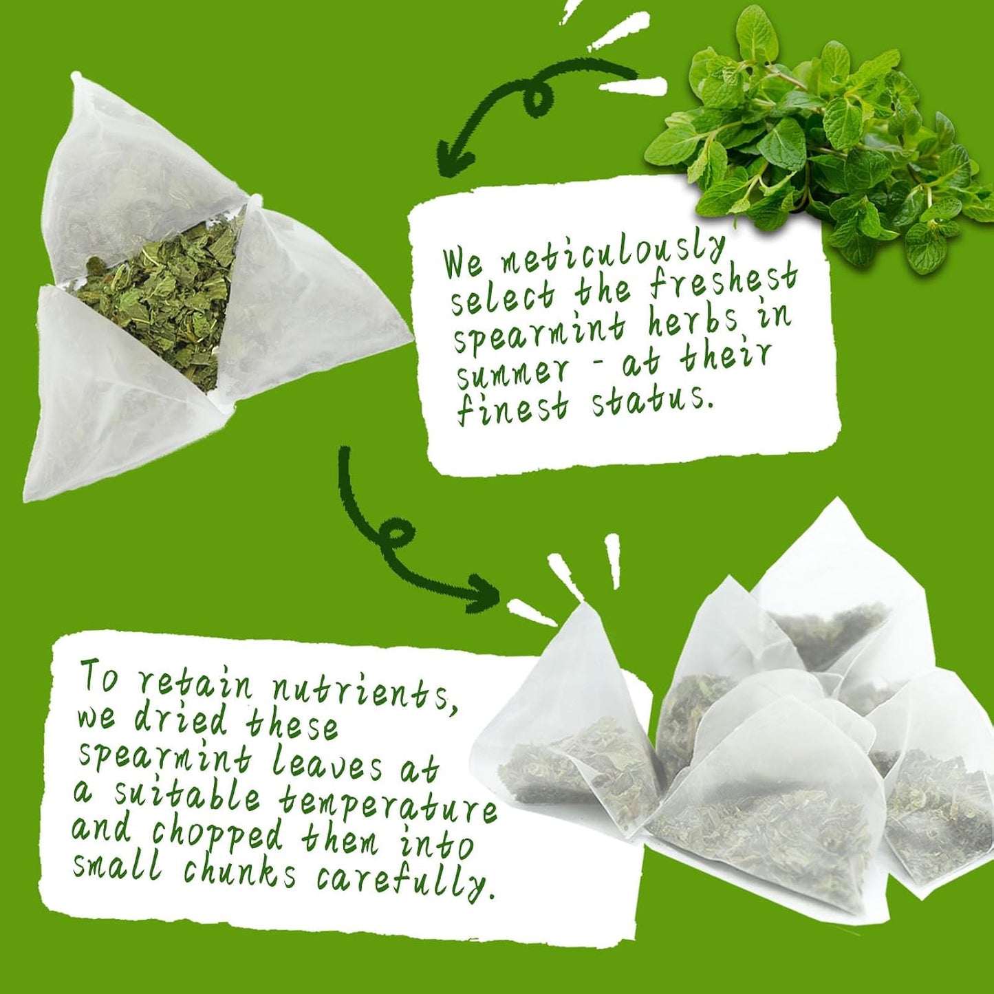 Jarteela Lemon Balm Tea, 1.5g x 60 Count - Natural Melissa Officinalis - Pyramid Herbal Lemon Balm Tea Bags for Digestion - Non-GMO - Caffeine-Free